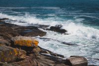 The waves in Casco Bay and the Atlantic Ocean are mesmerizing.