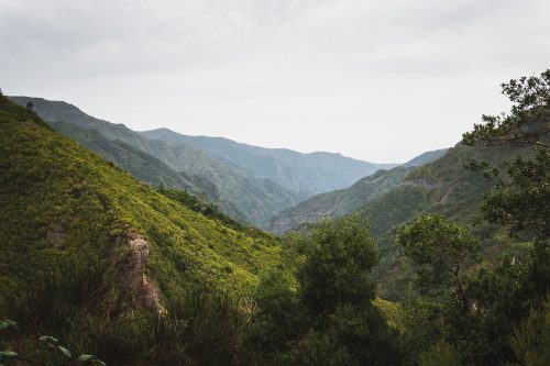 A spectacular view from the Levada das 25 Fontes hike.