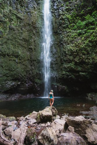 Watch the brave take a swim.