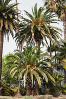 Venice Canal Historic District, Los Angeles, California.