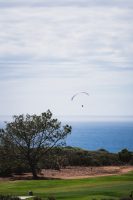 Torrey Pines State Natural Reserve, La Jolla, California