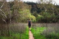 Los Peñasquitos Canyon Trail in Los Peñasquitos Canyon Preserve, San Diego, California