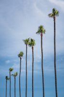 Ocean Beach, California