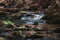 In warmer months this stream on the property of Camp Haven can be used for bathing.