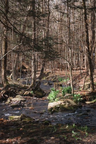 In warmer months this stream on the property of Camp Haven can be used for bathing.