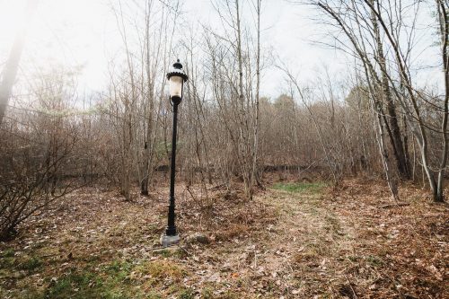 Amazing antique and unique lampposts are installed on the property.