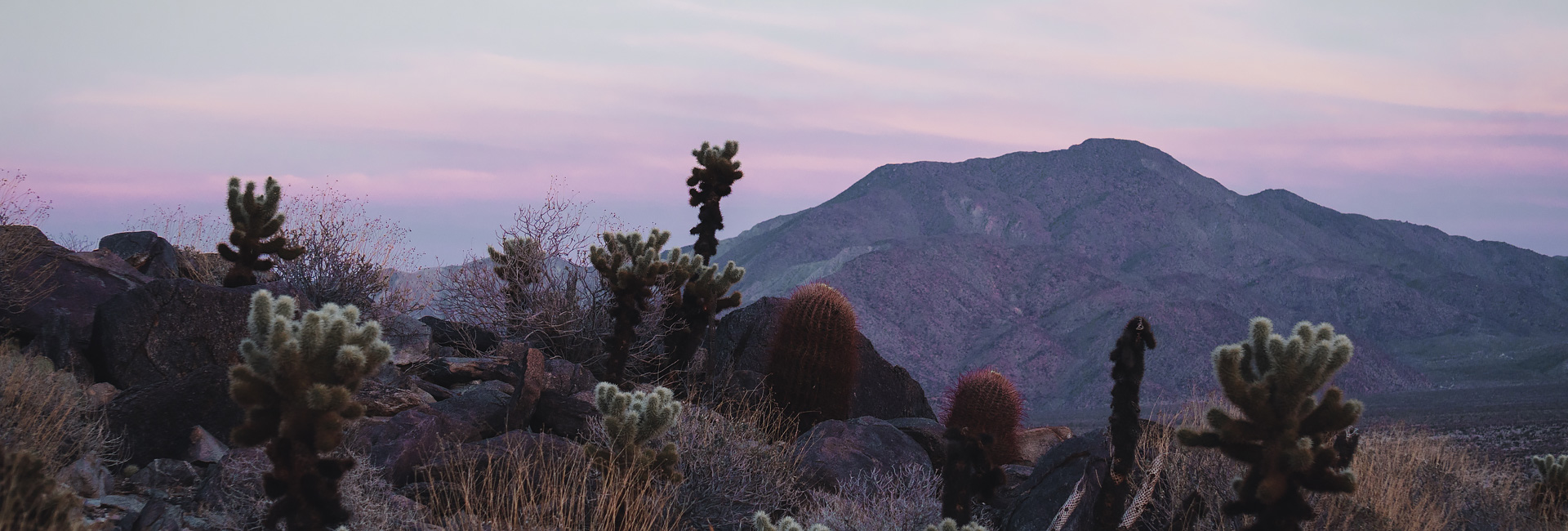 Best Short Hikes in Anza Borrego Desert State Park