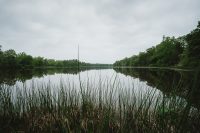 We wandered around nearby Batsto Village - 33 historic buildings including a mansion, gristmill, general store, and workers’ homes - and dropped by the Visitor Center for a history lesson. This water is so still before it rushes through the dam.