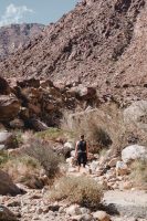 Borrego Palm Canyon Trail, Anza-Borrego Desert State Park, California