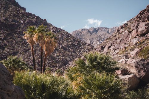 Borrego Palm Canyon Trail, Anza-Borrego Desert State Park, California