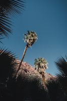 Borrego Palm Canyon Trail, Anza-Borrego Desert State Park, California