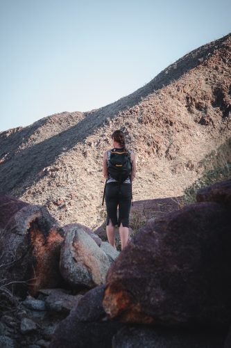 Borrego Palm Canyon Trail, Anza-Borrego Desert State Park, California