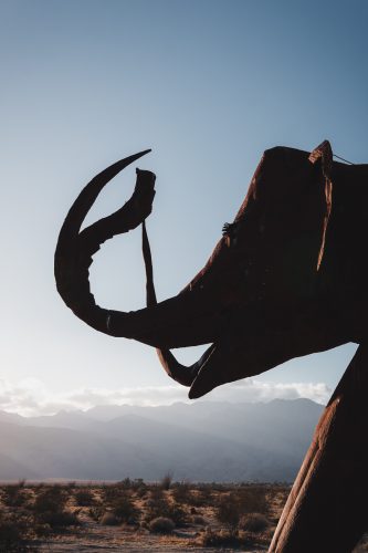 Galleta Meadows, Borrego Springs, California