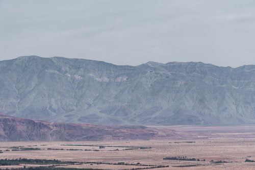 Anza-Borrego Desert State Park, California.