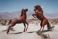 Galleta Meadows, Borrego Springs, California