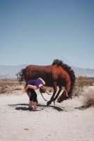 Galleta Meadows, Borrego Springs, California