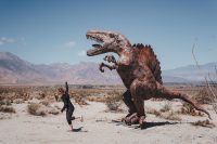 Galleta Meadows, Borrego Springs, California