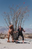 Galleta Meadows, Borrego Springs, California