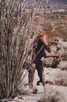 Galleta Meadows, Borrego Springs, California