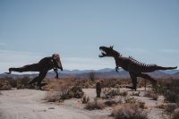 Galleta Meadows, Borrego Springs, California