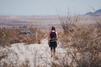 Galleta Meadows, Borrego Springs, California