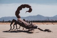 Galleta Meadows, Borrego Springs, California