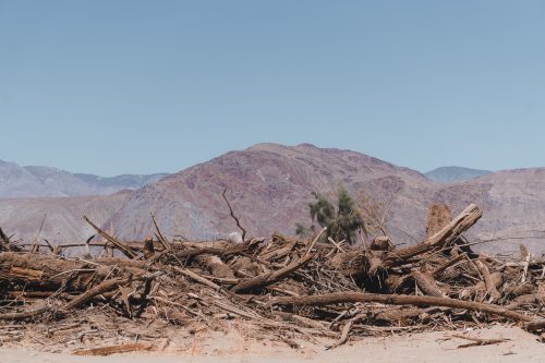 Galleta Meadows, Borrego Springs, California