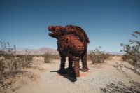 Galleta Meadows, Borrego Springs, California