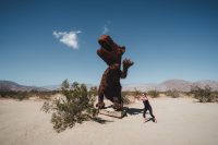 Galleta Meadows, Borrego Springs, California