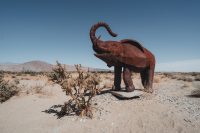 Galleta Meadows, Borrego Springs, California