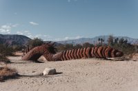 Galleta Meadows, Borrego Springs, California