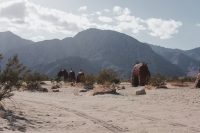 Galleta Meadows, Borrego Springs, California