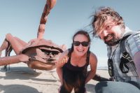 Galleta Meadows, Borrego Springs, California