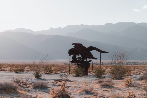 Galleta Meadows, Borrego Springs, California