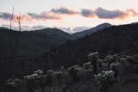 Cactus Loop Trail, Anza-Borrego Desert State Park, California