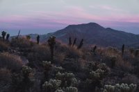 Cactus Loop Trail, Anza-Borrego Desert State Park, California