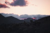 Cactus Loop Trail, Anza-Borrego Desert State Park, California