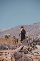 Yaqui Well Trail, Anza-Borrego Desert State Park, California