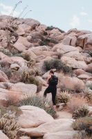 Ghost Mountain Trail, Anza-Borrego Desert State Park, California