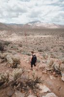 Ghost Mountain Trail, Anza-Borrego Desert State Park, California