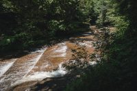 Hiking the Gorge Trail and the Rim Trail at Robert H. Treman State Park.