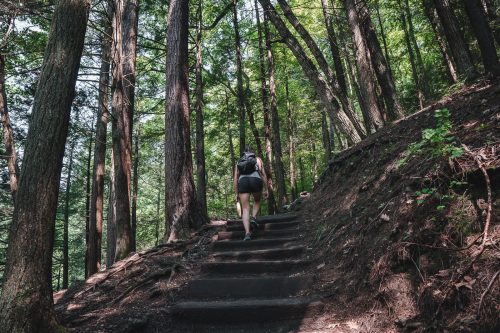 Hiking the Gorge Trail and the Rim Trail at Robert H. Treman State Park.