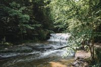 Hiking the Gorge Trail and the Rim Trail at Robert H. Treman State Park.