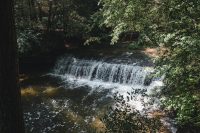 Hiking the Gorge Trail and the Rim Trail at Robert H. Treman State Park.