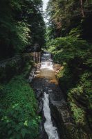 Hiking the Gorge Trail and the Rim Trail at Robert H. Treman State Park.