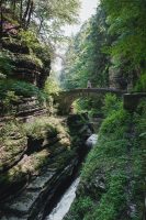 Hiking the Gorge Trail and the Rim Trail at Robert H. Treman State Park.