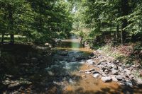 Hiking the Gorge Trail and the Rim Trail at Robert H. Treman State Park.