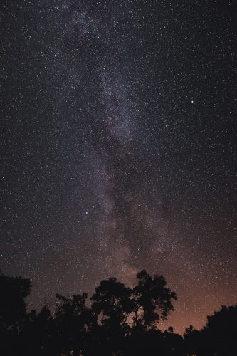 The Milky Way over Robert H. Treman State Park.