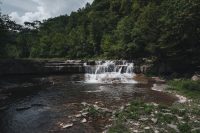 The sights along the Gorge Trail in Taughannock Falls State Park near Ithaca, NY.