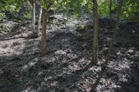 The sights along the Gorge Trail in Taughannock Falls State Park near Ithaca, NY.